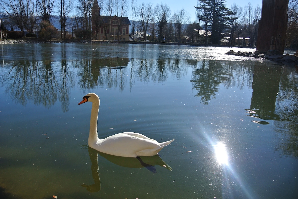 景观客房， PUIGCERDA