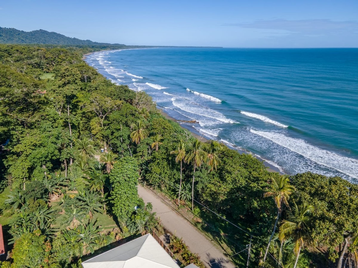 Two Modern Beachfront Houses