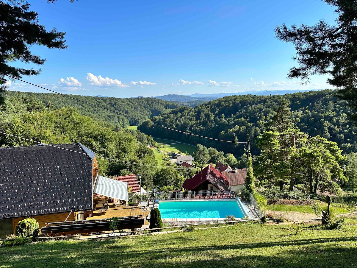 Luxury house Braspen near Ljubljana