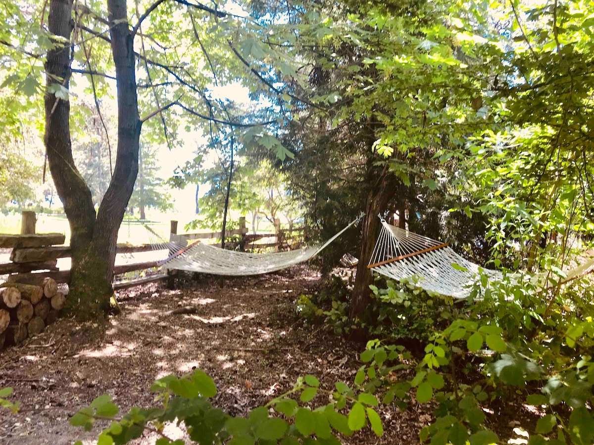 浸泡式浴缸/海滩通道/宠物：森林小屋