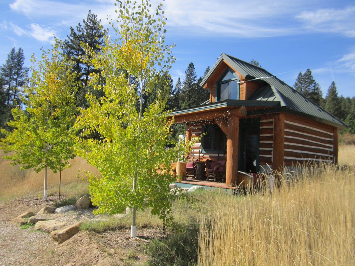 The Miner 's Cabin