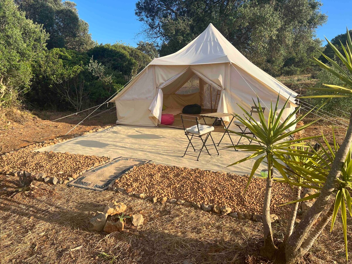 Bela Glamping  - Olive Tree