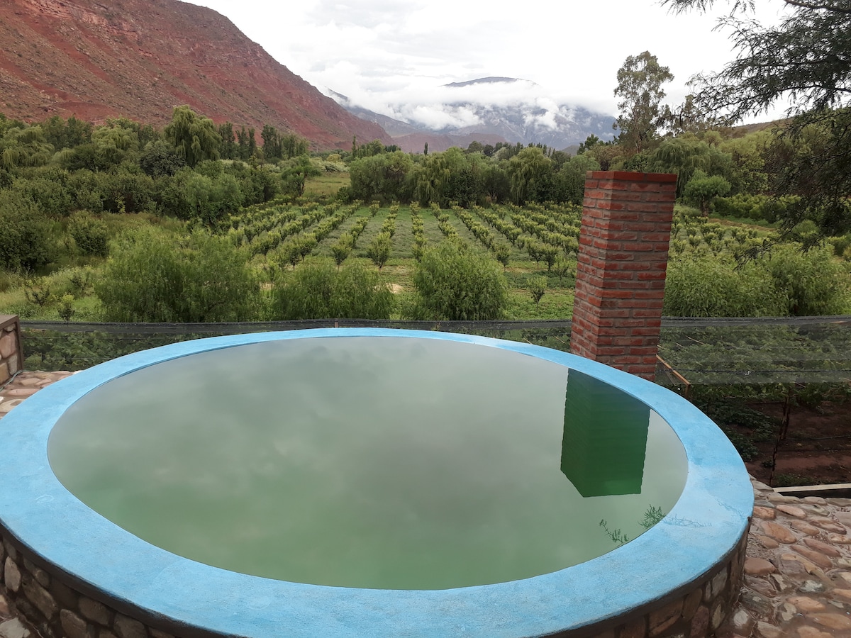 Mi Huerta ， Hacienda Los Cactus - El Papagayo