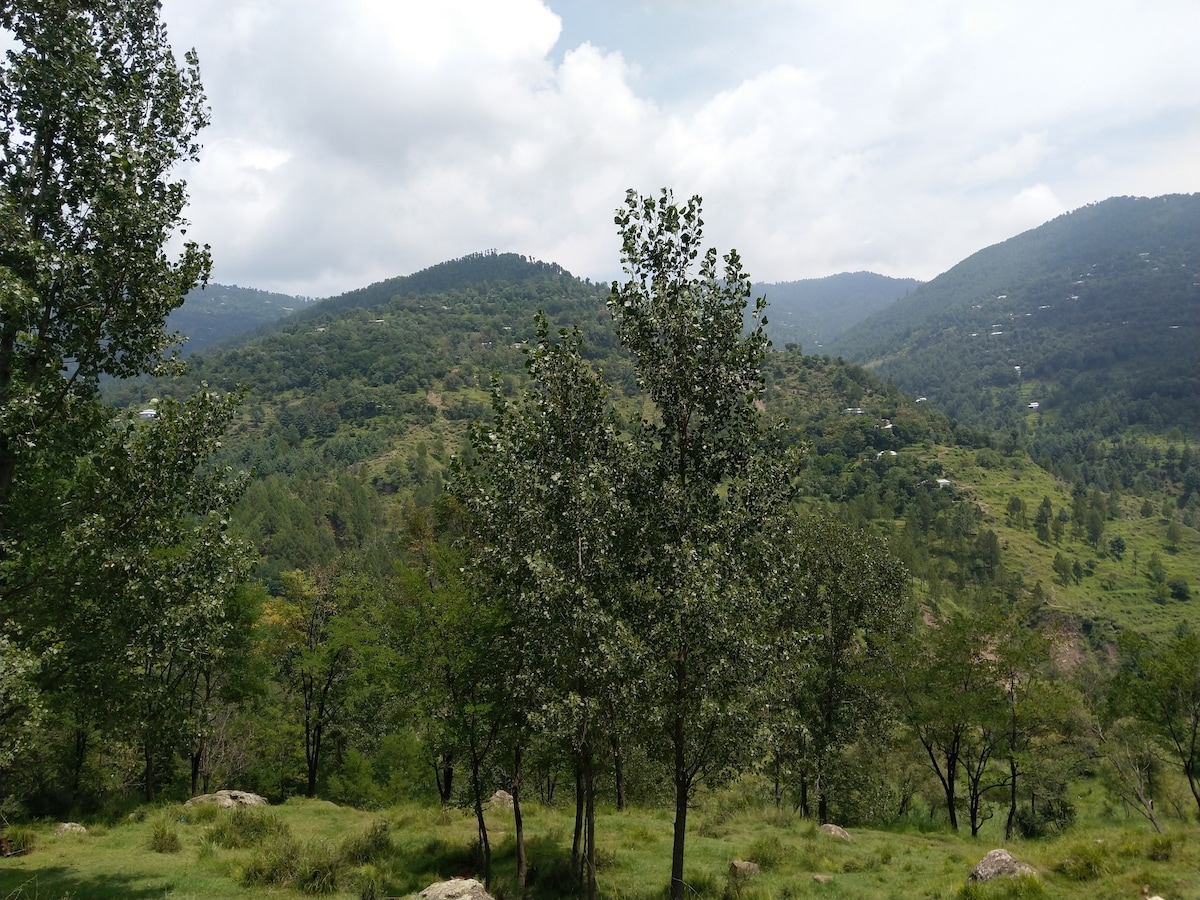 克什米尔喜马拉雅山脚步之旅
