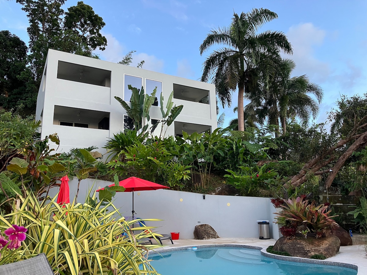 雨林单间公寓# 3游泳池、热带花园、景观
