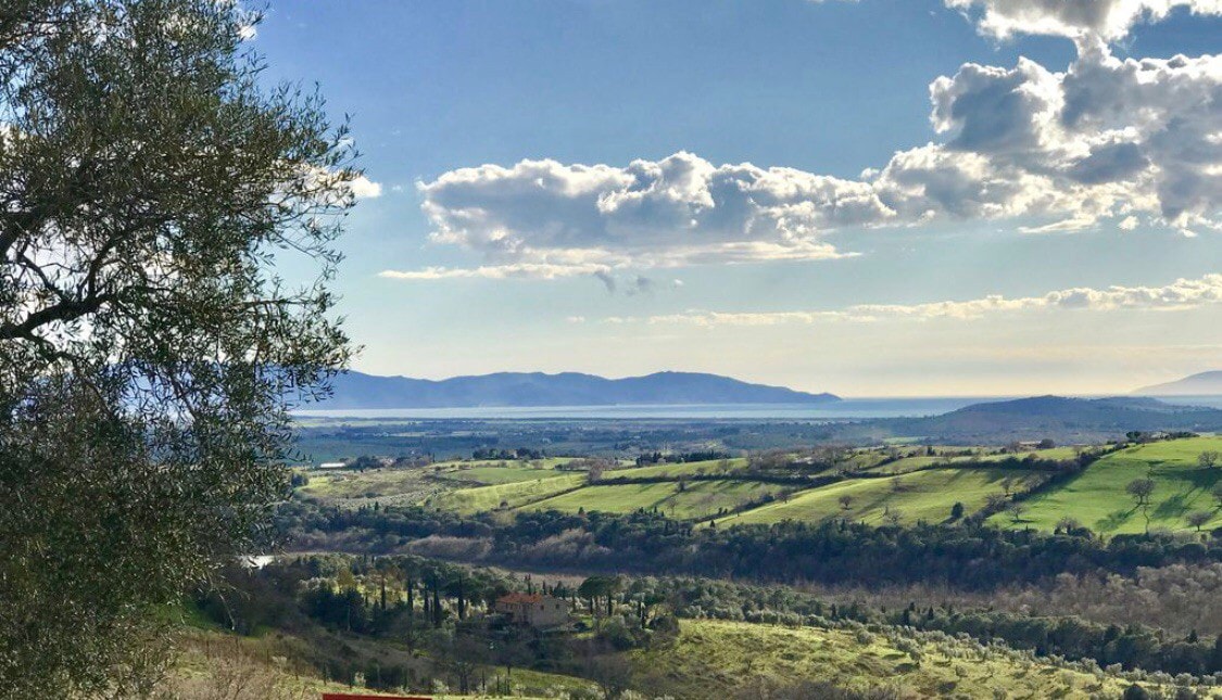 Ulivi Toscana, Maremma (Ultimo Podere)