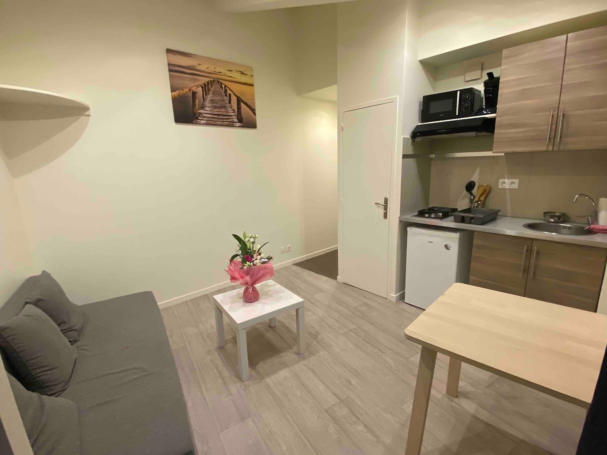 Le Puy en Velay : Studio plein centre ville