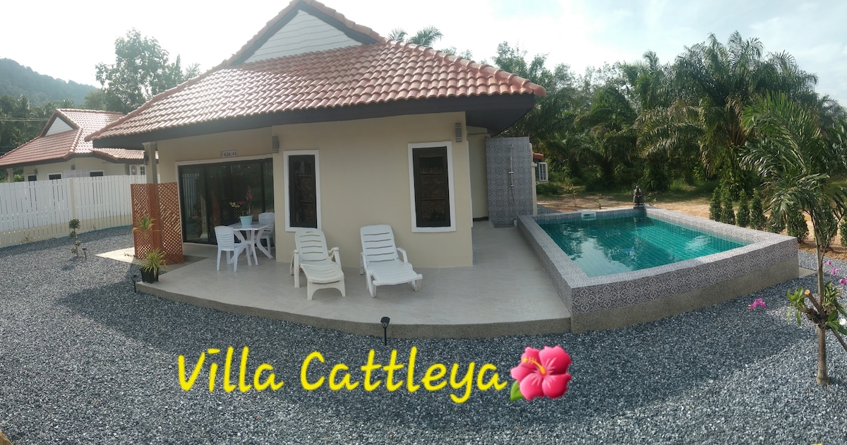 Cattleya pool Villa.