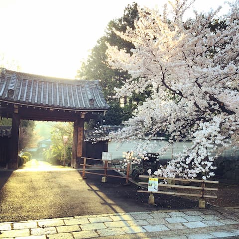 京都的民宿