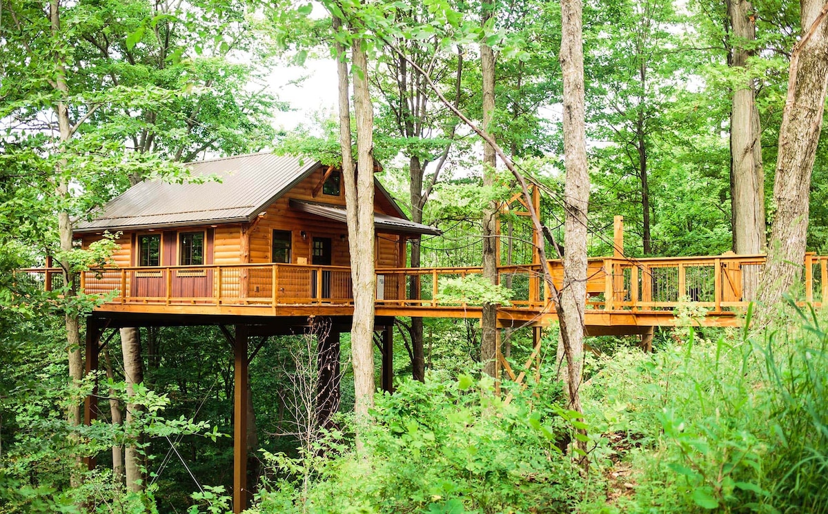 Luxury Treehouse Getaway with Treetop Views