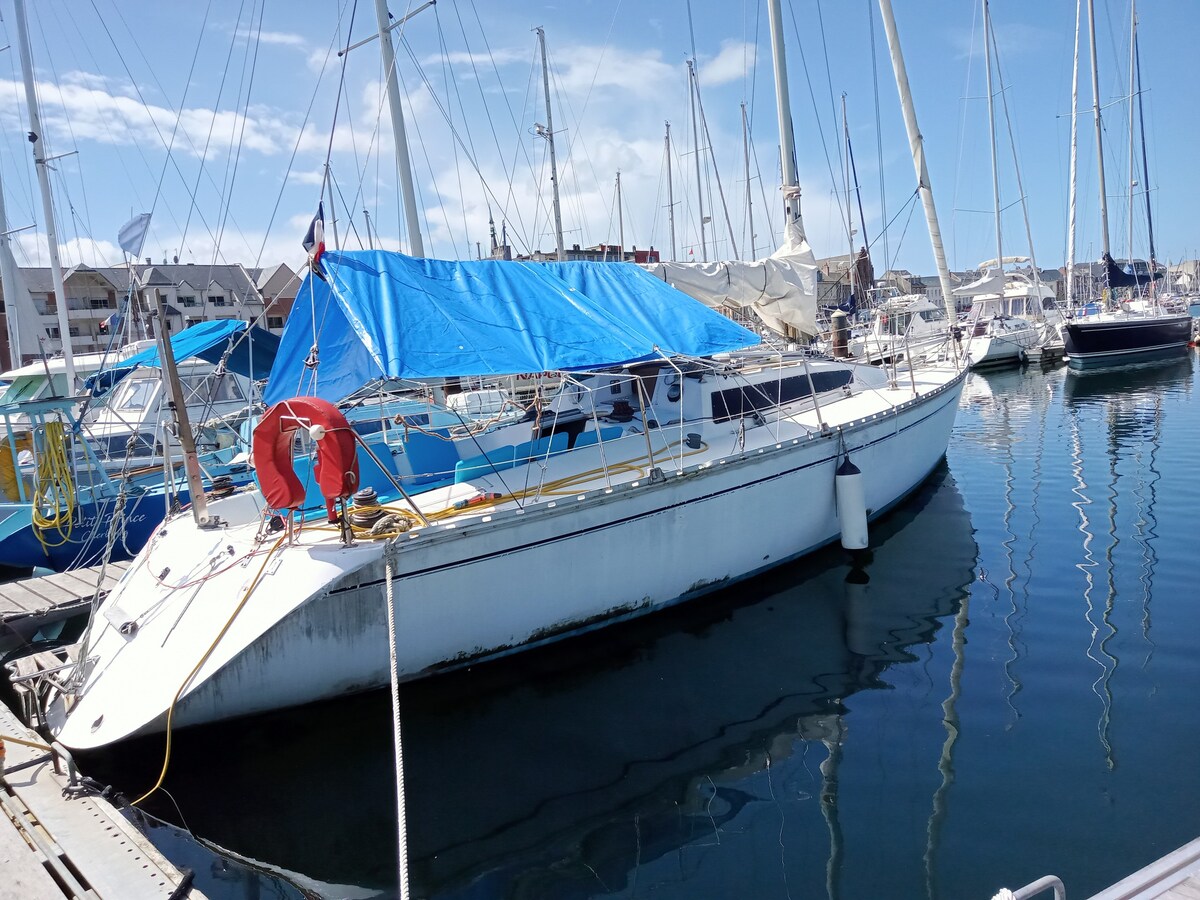 帆船全方位舒适，是费坎普港的港口中心。