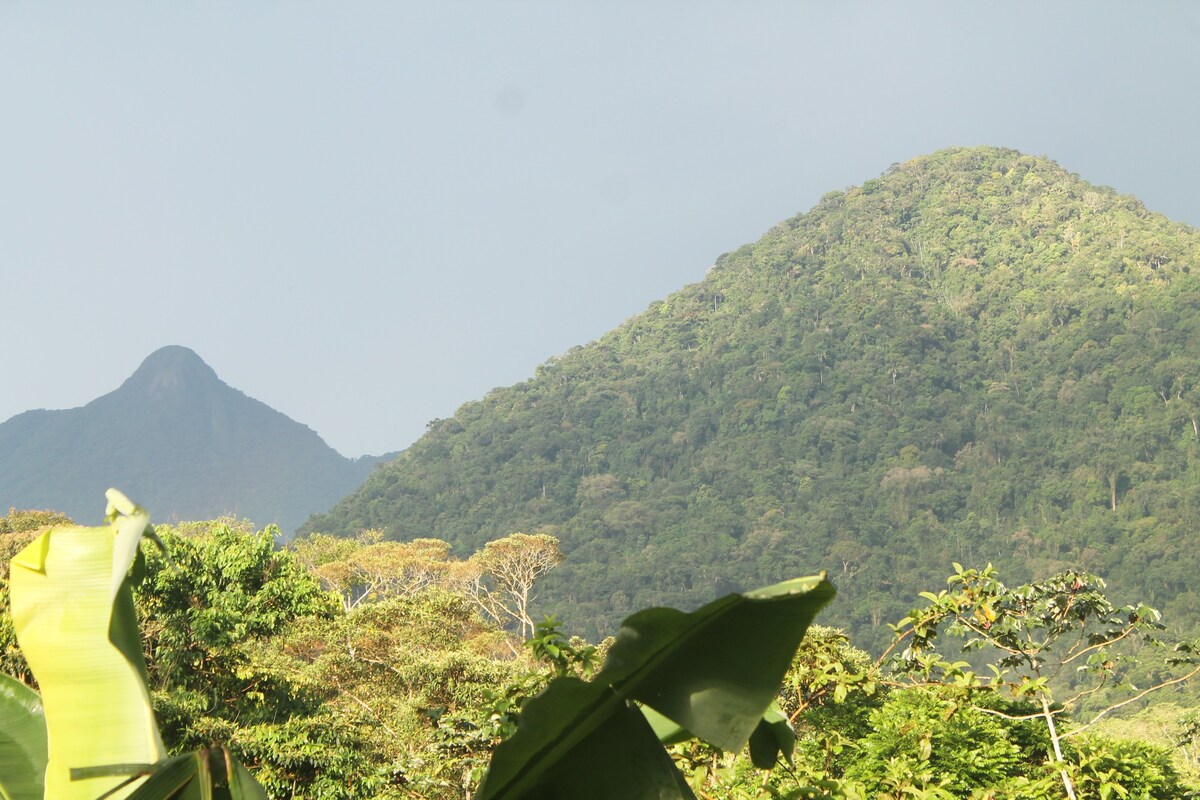 Quilombo fazenda,refúgio em meio a mata atlântica,