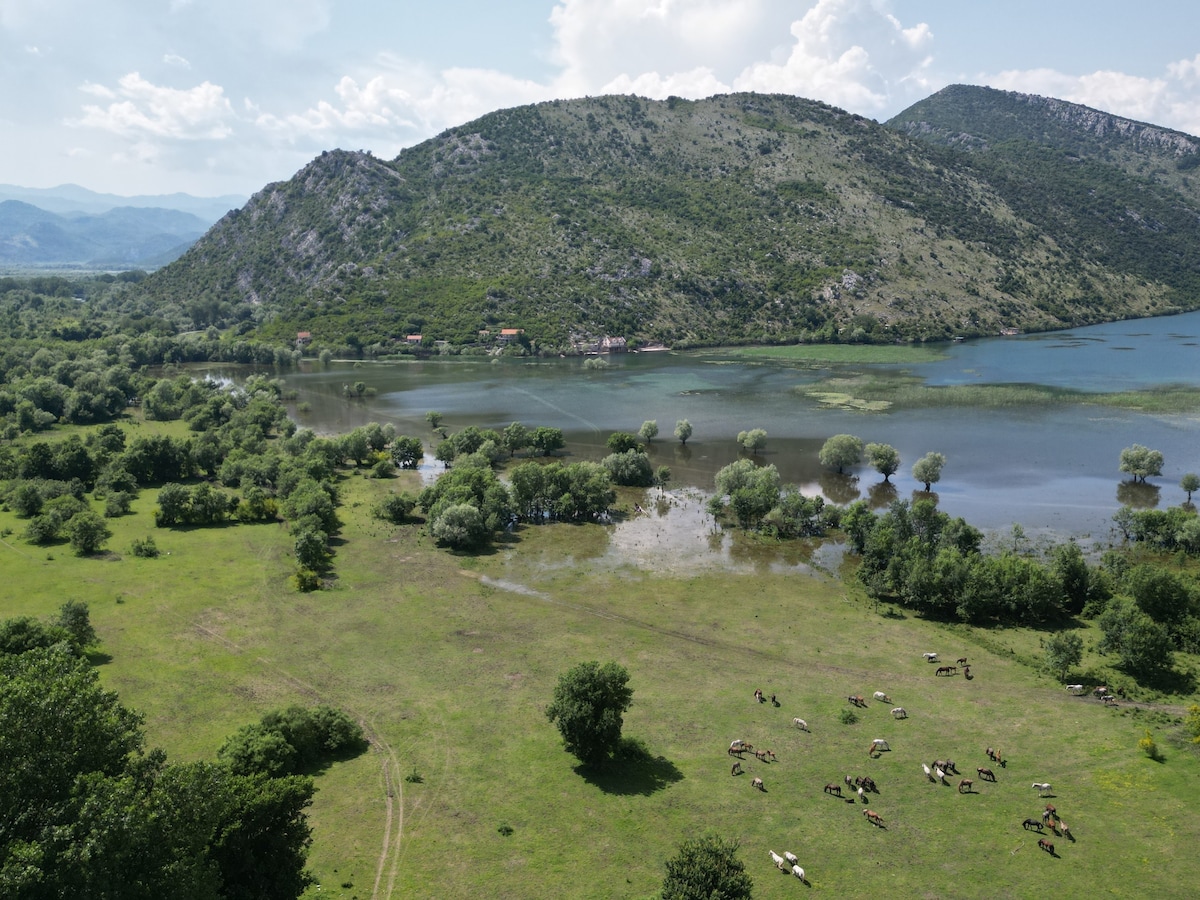 Wild Beauty house Skadar lake