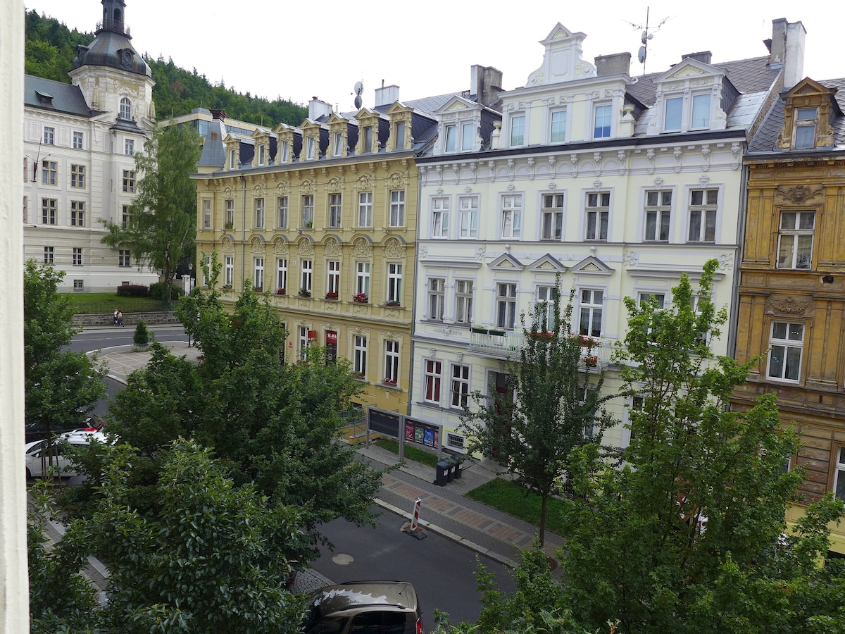 配备家具的公寓，位于卡罗维发利（ Karlovy Vary ）