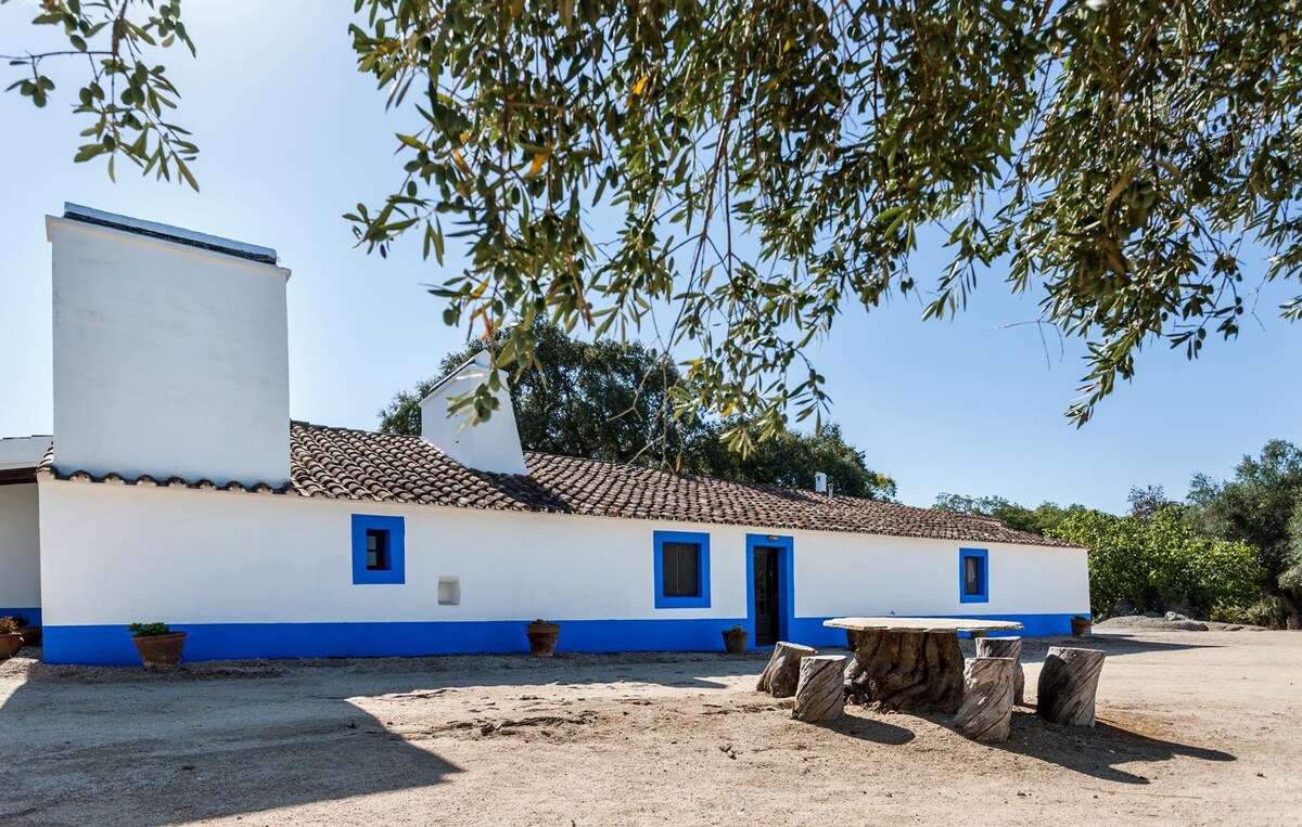 A small Paradise in Évora, a typical farm - T2