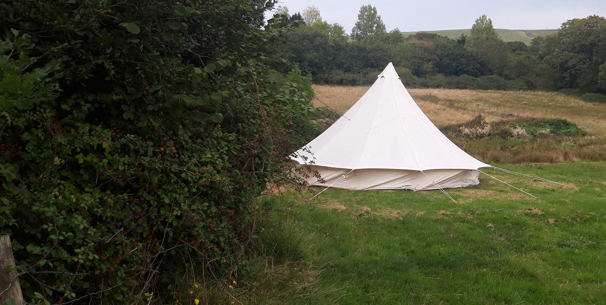 宽敞田野中的5米钟形帐篷