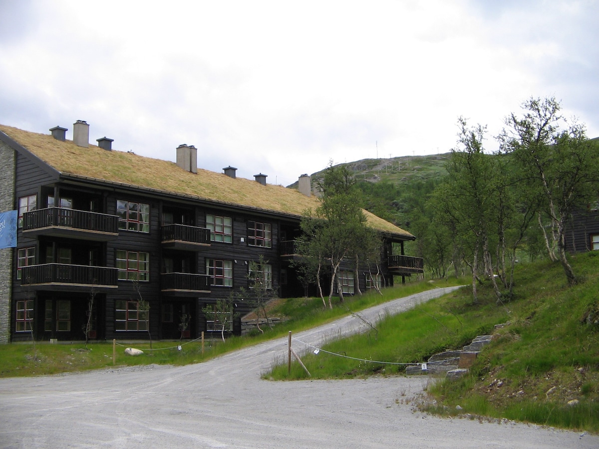 Tyin-Filefjell: Big, modern apartment (ski in/out)
