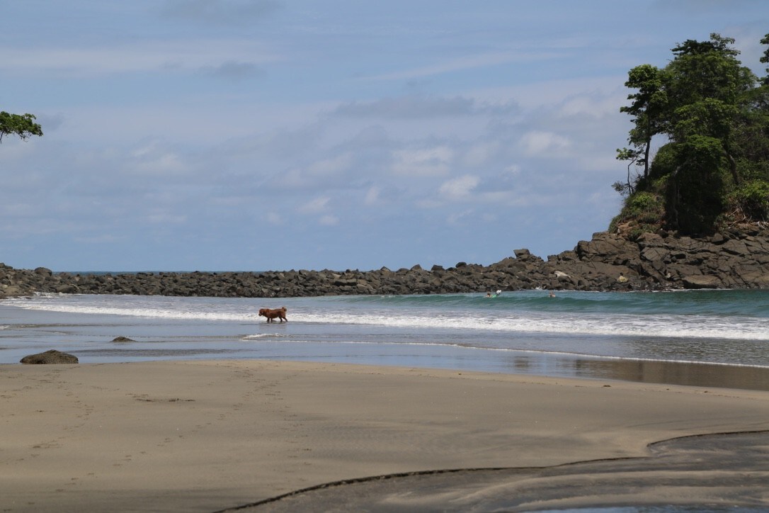 Trinidad Pacific Island, Isla Parida, Panama