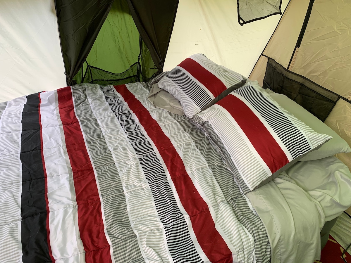 Comfy Tent Glamping in Queen beds in San Antonio