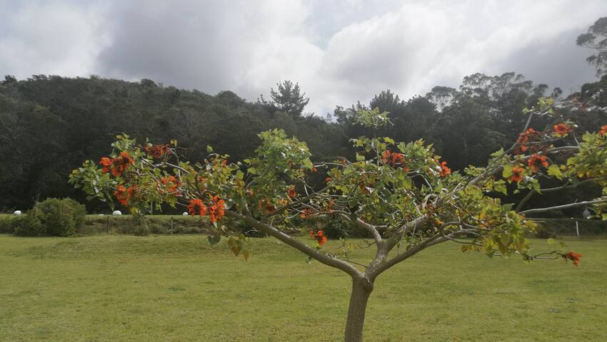 科布姆茲斯特兰(Keurboomstrand)的民宿