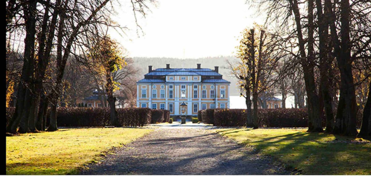 luxury studio in a castle environment