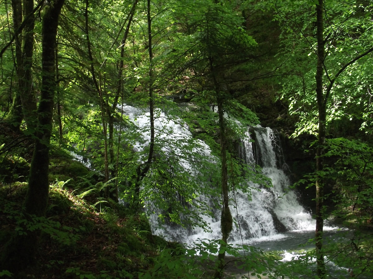 Chalet de la forêt d 'Issaux n ° 1: Le Rêveur