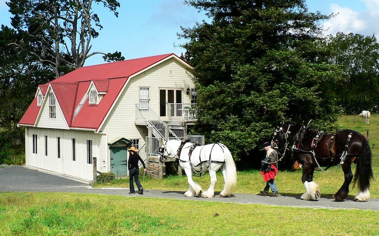 凯里凯里(Kerikeri)的民宿