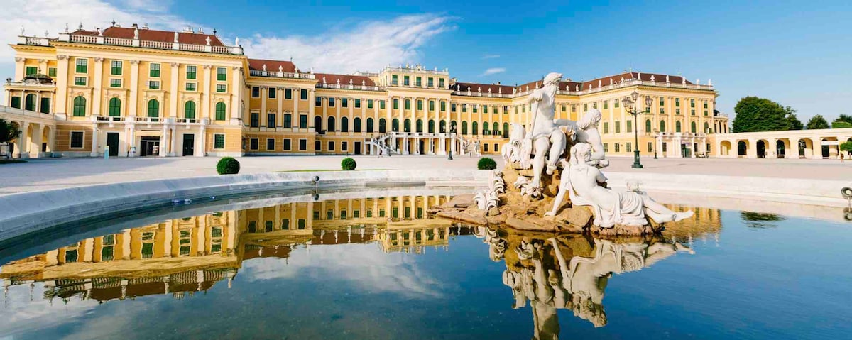 *靠近申布伦宫（ Schönbrunn palace ）的红宝石豪华公寓*