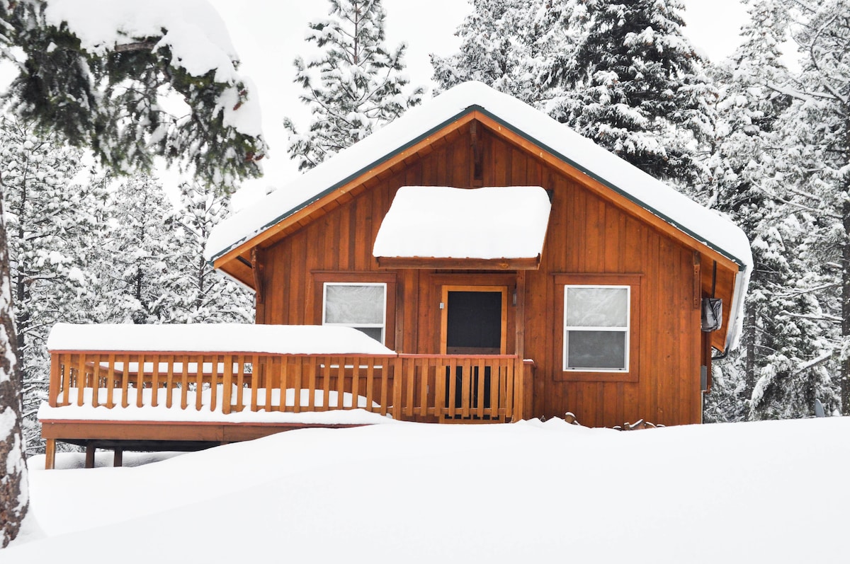 High Country Cabin