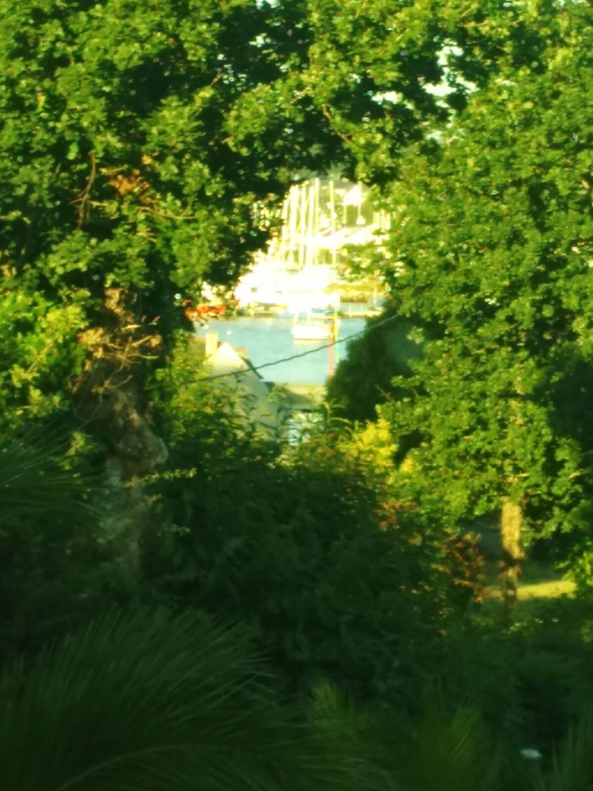 Chambre  en terrasse chez l' habitant bord mer