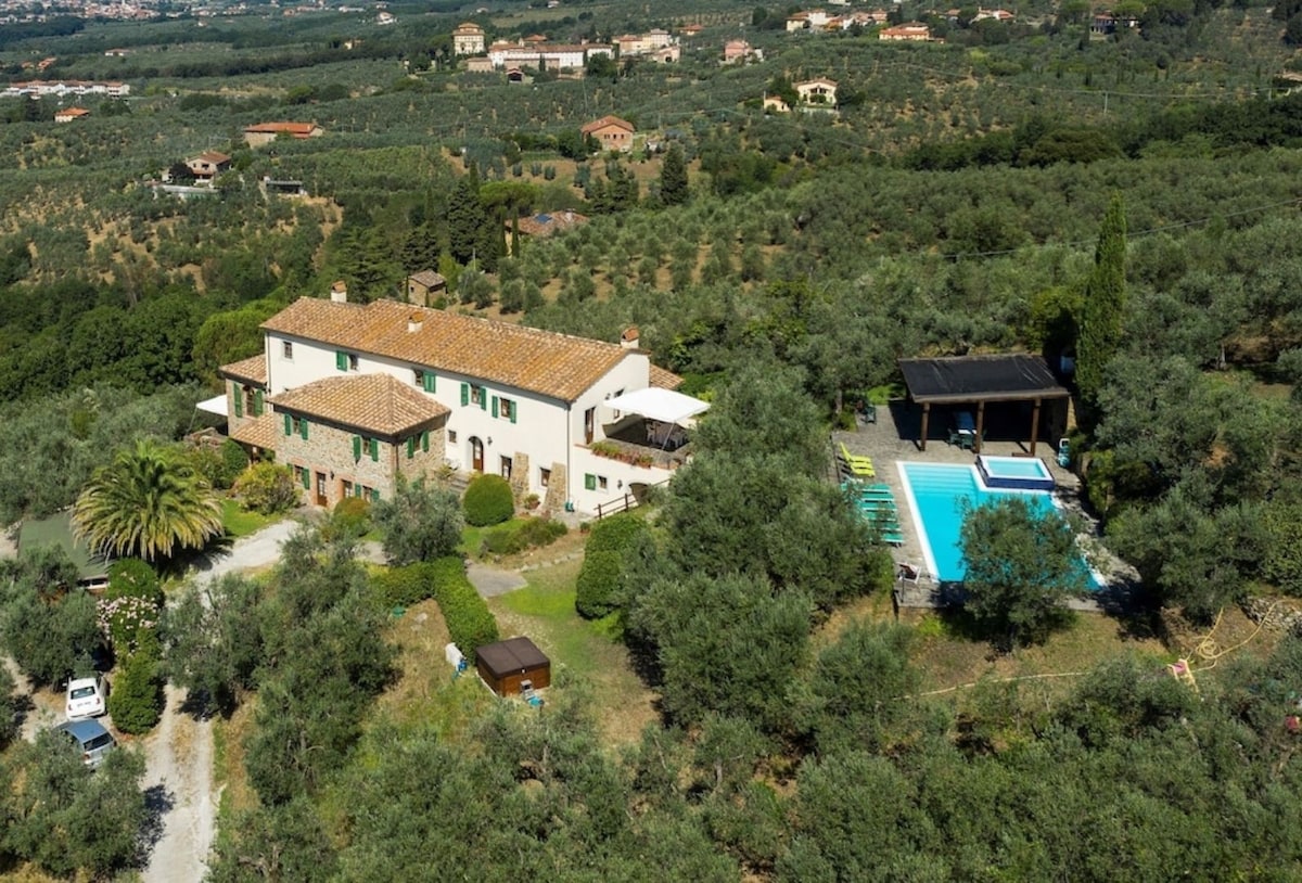 Tuscan Charm: Olive Tree Villa near Vinci