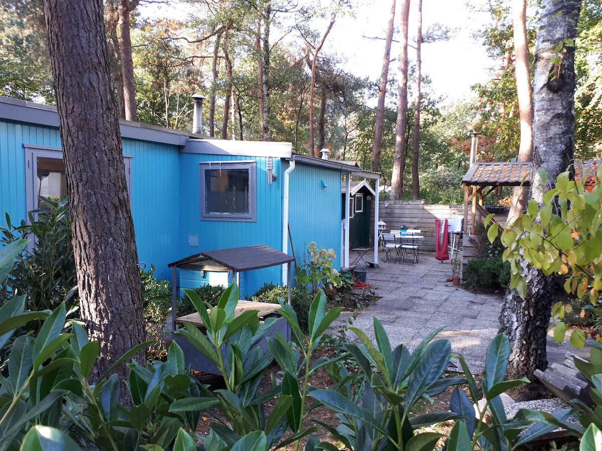 Turquoise Forest House, Hoenderloo