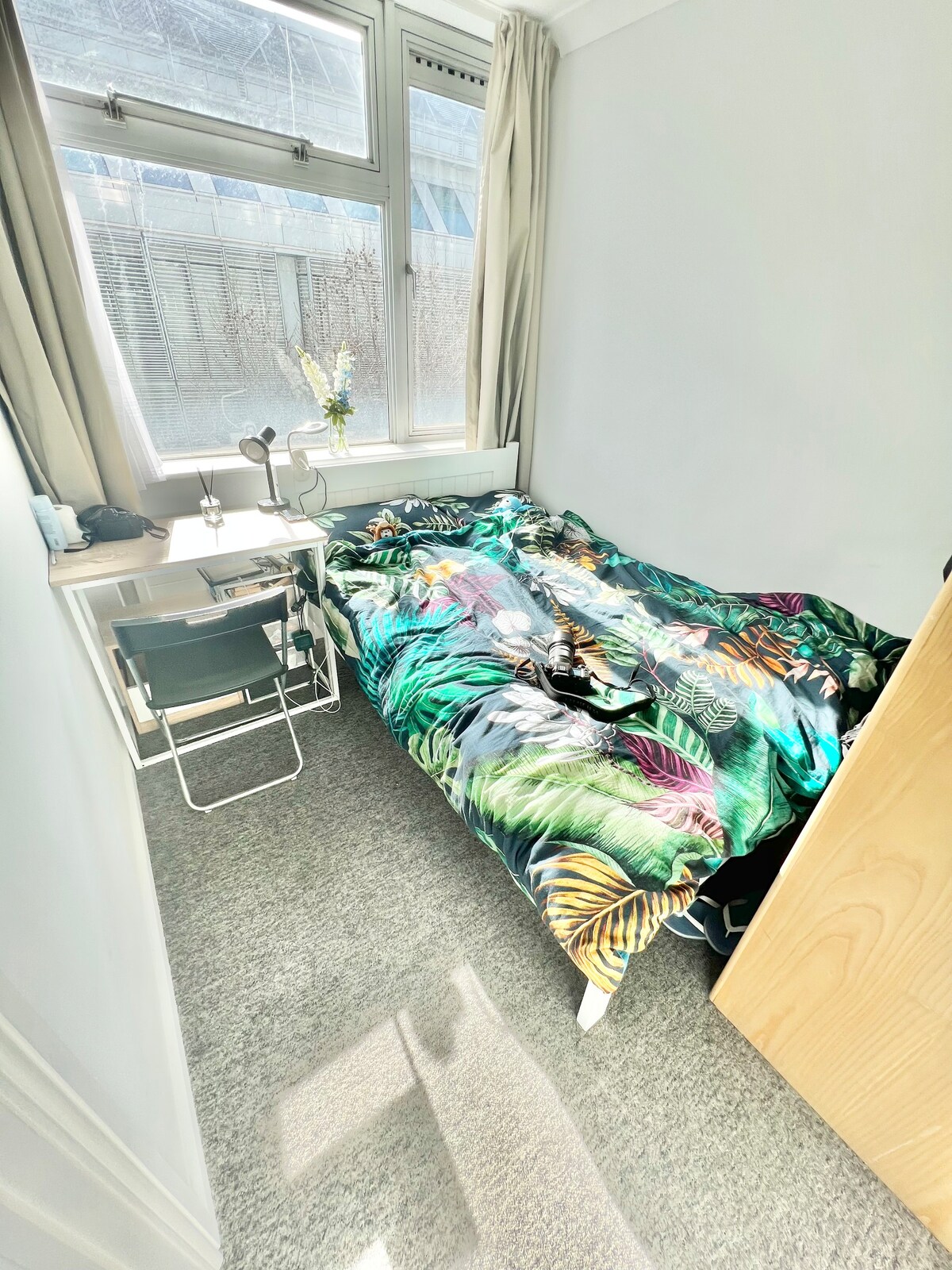 Cosy flat in central London