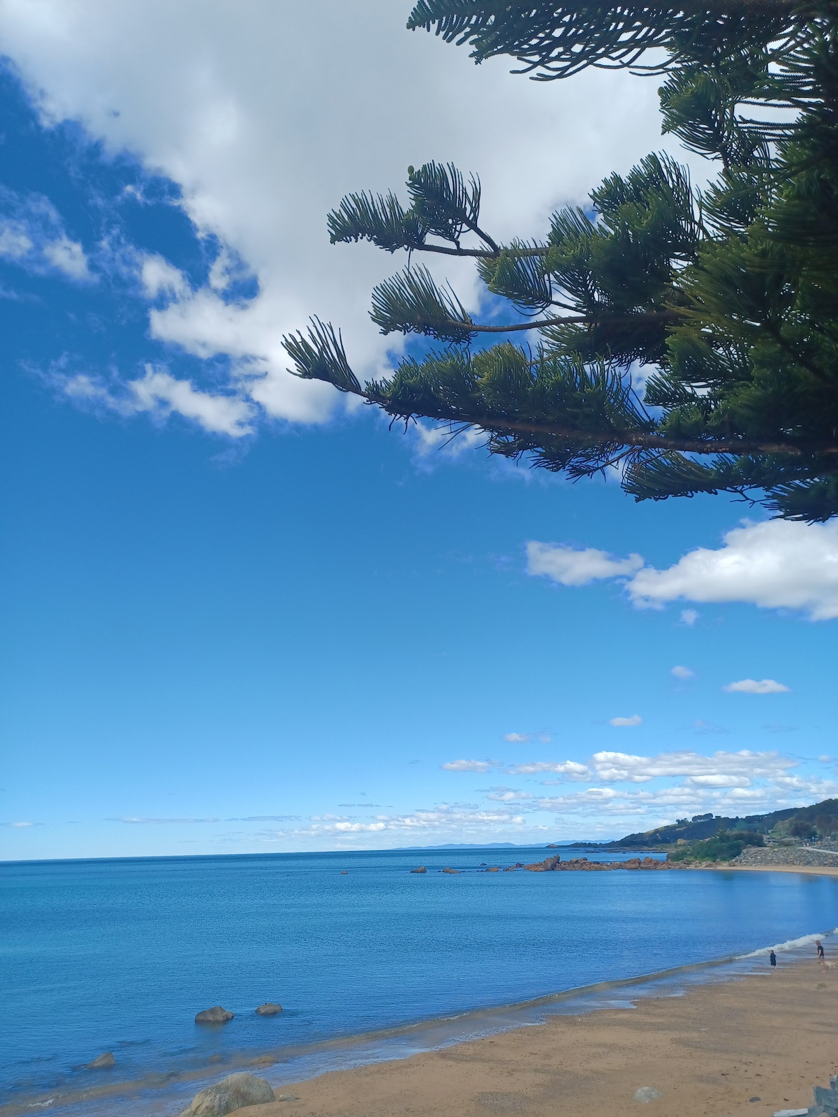 在企鹅放松身心-欣赏美景、水疗和充电。