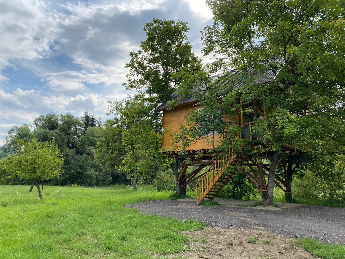 松鼠小屋