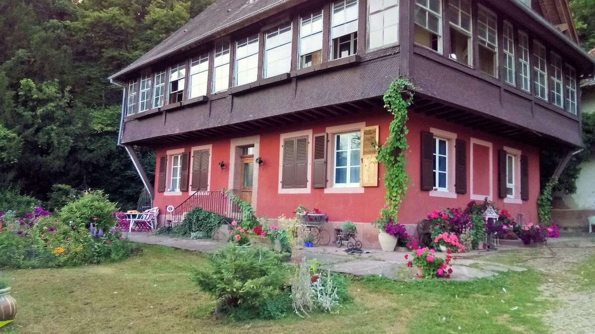 "Gîte Cadichon"  forêt, Plain-pied jardin