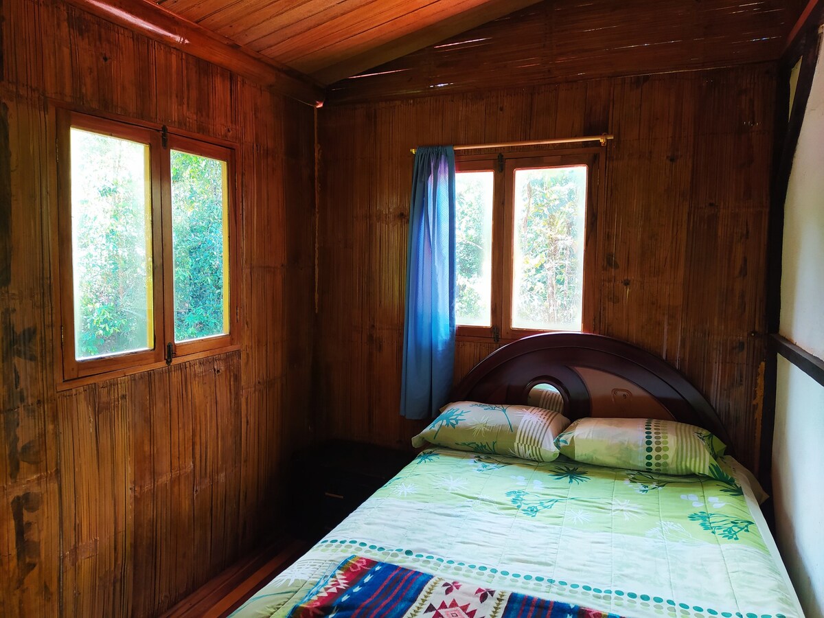 Amazonia Cabins - Bird Refuge