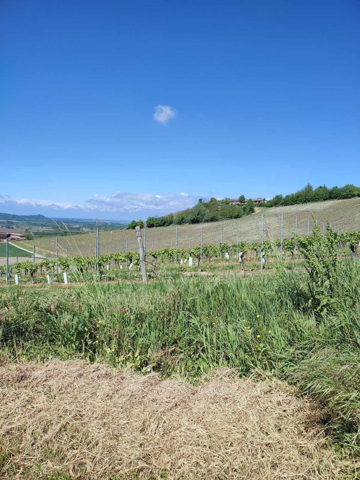 la casa di nonna Tina