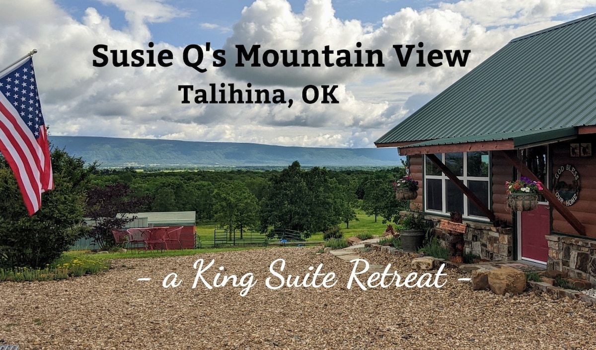 Susie Q 's Mountain View