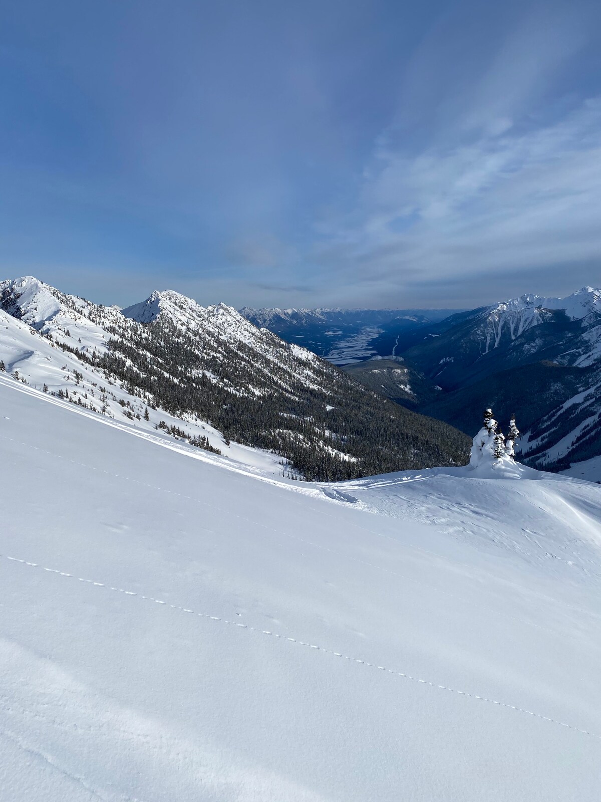 Selkirks On Hill滑雪进出家园