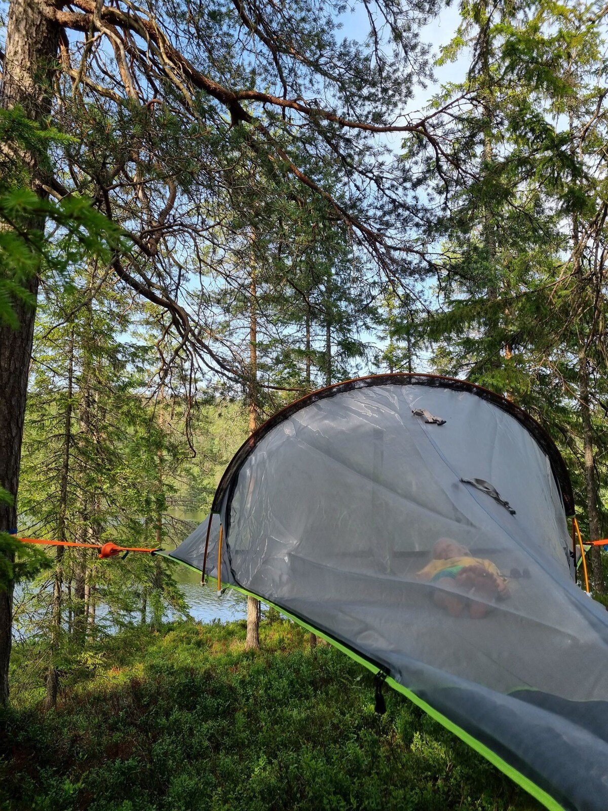 Experience the nature of Oslo in a tree tent