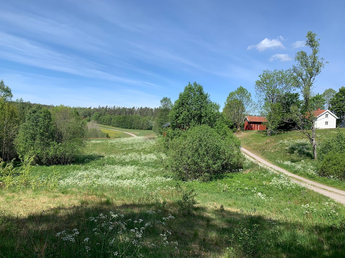 Vacker stuga i Dalsland med närhet till skog & sjö