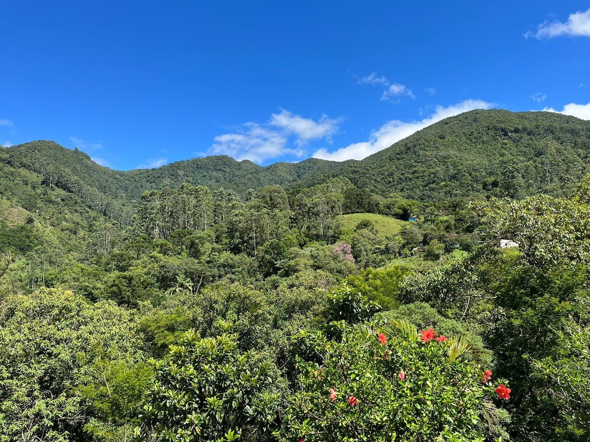 Paraíso da Mantiqueira