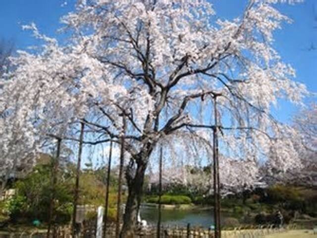 东京葛西十大推荐民宿 住宿 Airbnb爱彼迎