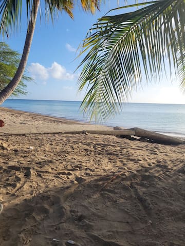 卡沃罗霍(Cabo Rojo)的民宿