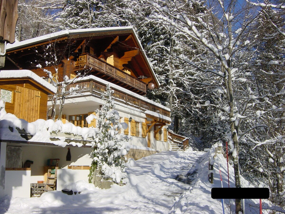 Cozy and comfortable apartment in Champery