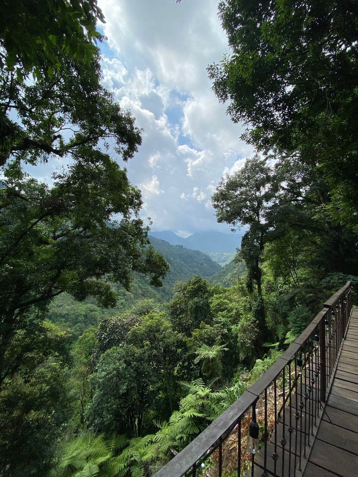 Finca las Nubes "Cabaña La Barranca"