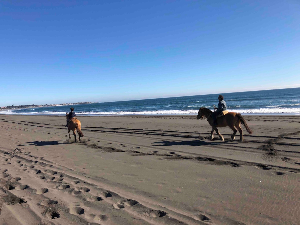 First Beach Line, Vista Punta de Lobos
