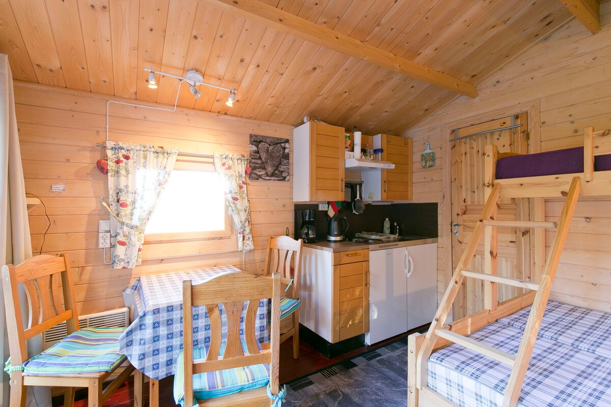 历史悠久的Telemark运河附近的舒适小屋