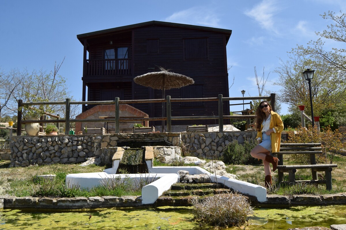 小木屋，带私人游泳池和花园